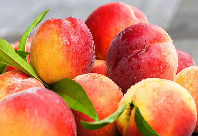 Pesche - Peaches