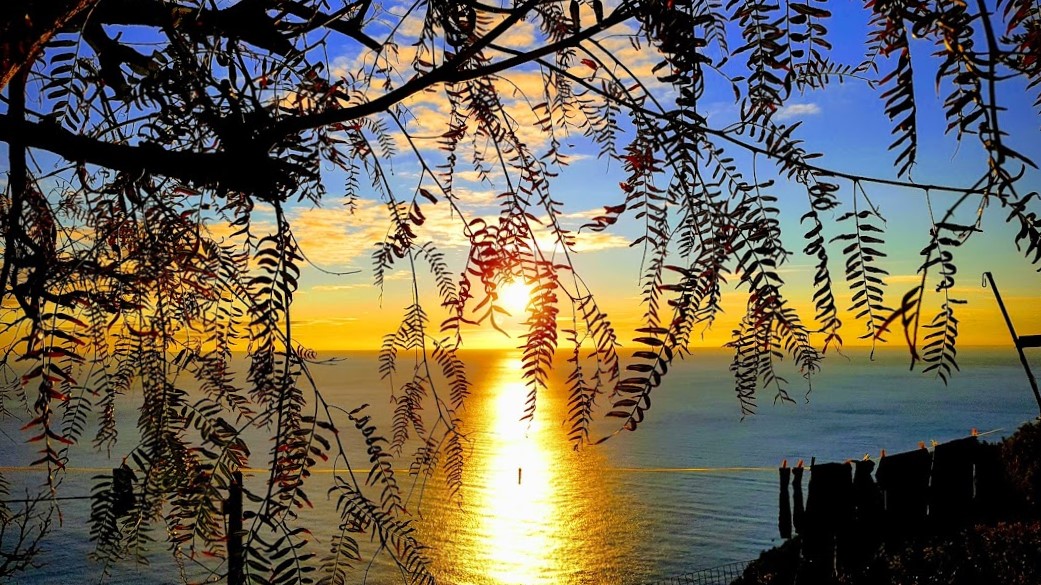 Cinque Terre