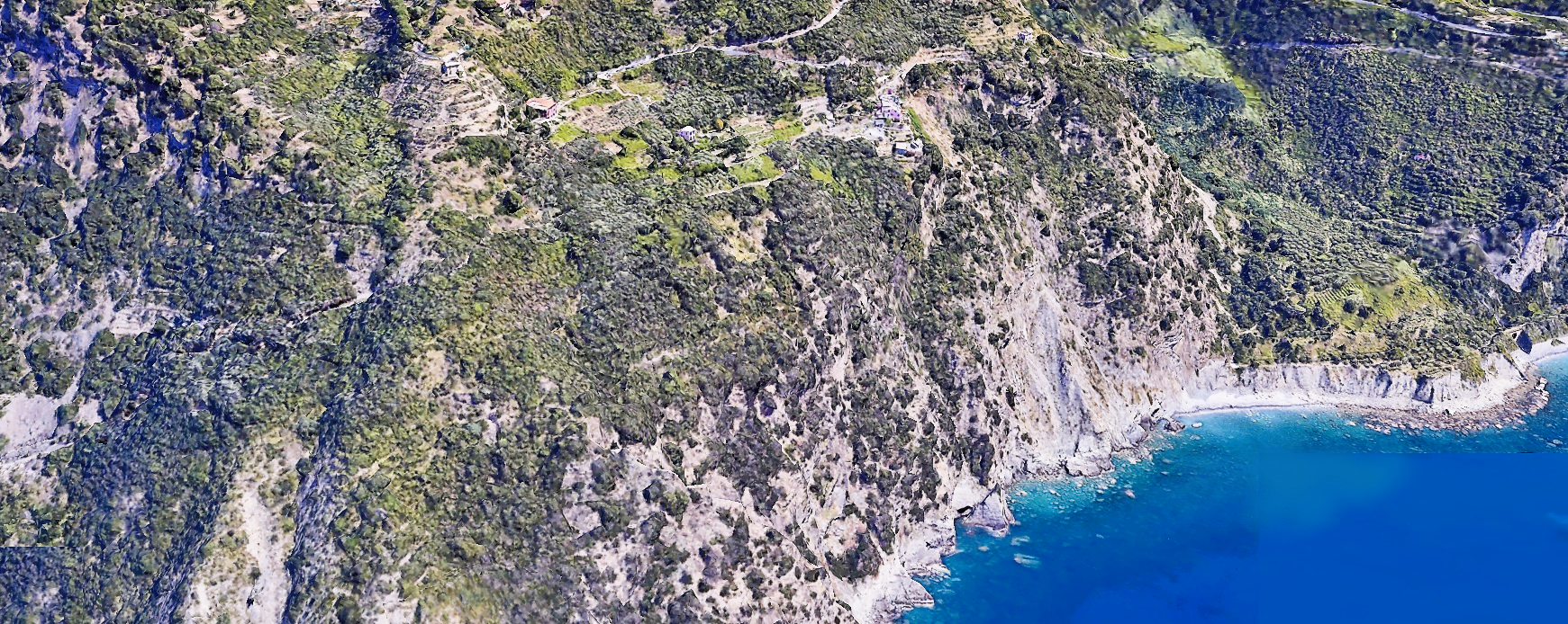 Azienda Agricola Sentiero Azzurro