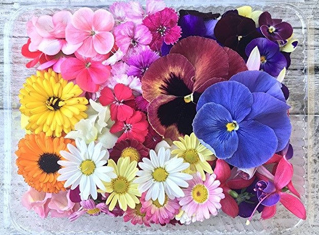 Trays Edible Flowers