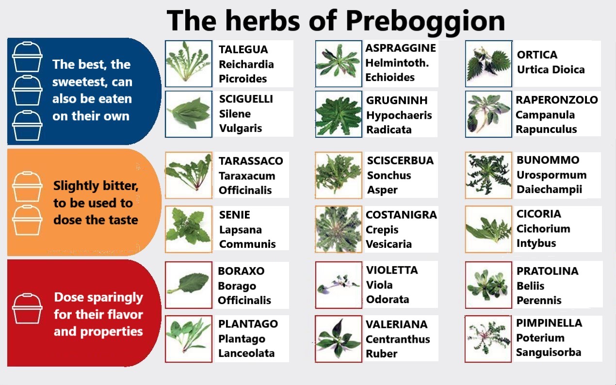 Preboggion