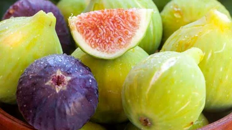 Fichi - Figs