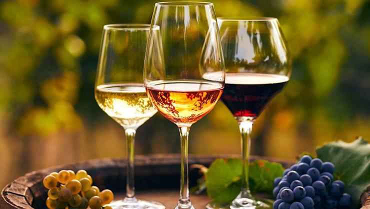 Vini - Wines