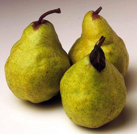 Pere - Pears