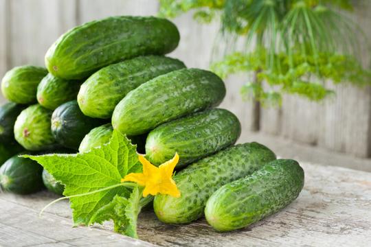 Cetrioli - Cucumbers