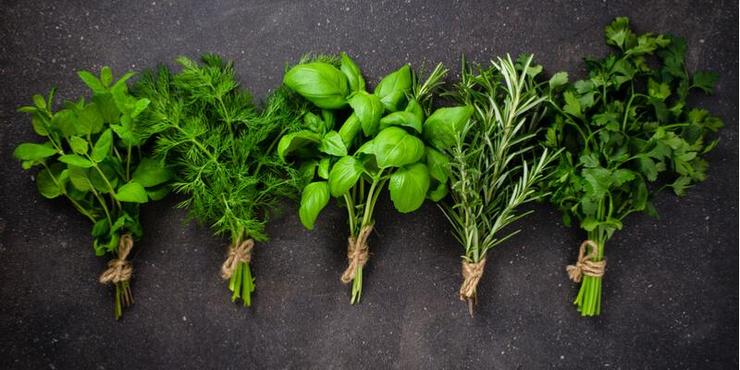 Erbe aromatiche - Herbs